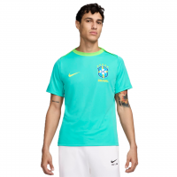 Camiseta Nike Brasil Dri-FIT Academy Pro Masculina na Nike