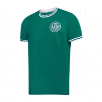 Camiseta Palmeiras Retrô 1973 na Amazon