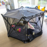 Cercado My Place Safety 1st, Black na Amazon