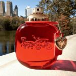 Coach Love EDP 90ML na Amazon