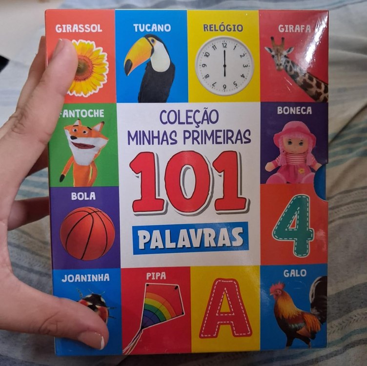 Coleção Minhas Primeiras 101 Palavras – Box com 3 Livrinhos Capa dura – 22 janeiro 2024 na Amazon