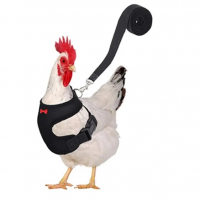 Colete Para Frango, Cachorro, Ganso Ajustável - Importação na Aliexpress