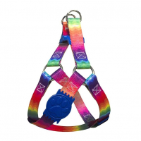 Conjunto Peitoral Ajustável Premium Para Cachorros Com Guia Rainbow (Arco-íris) PP na Amazon