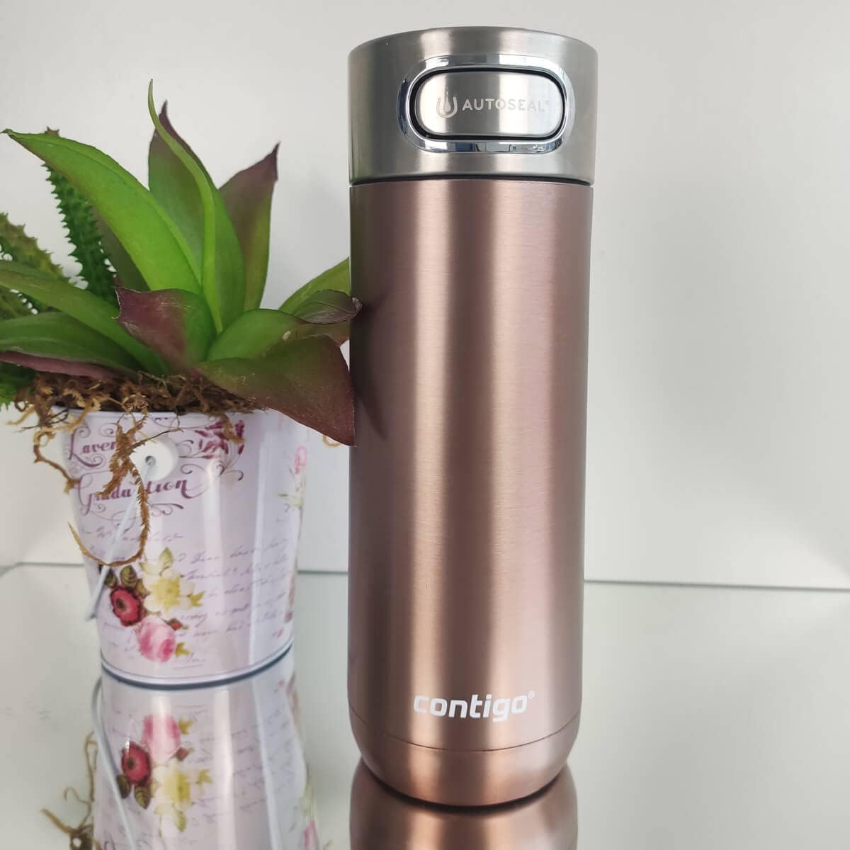 CONTIGO COPO TERMICO LUXE- AUTOSEAL- 473ml – CHARDONNAY na Amazon