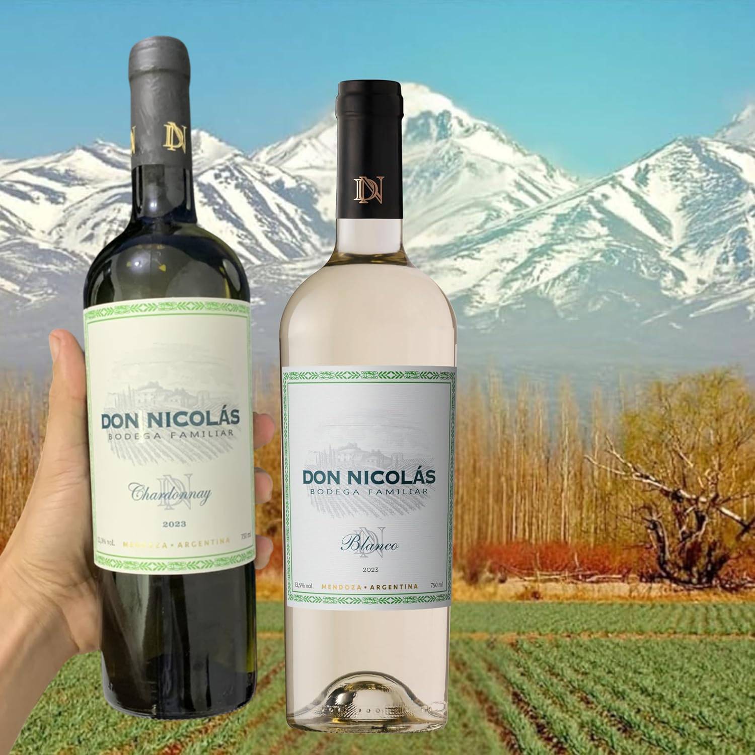 Don Nicolás Vinho Branco Argentino Chardonnay 750Ml na Amazon