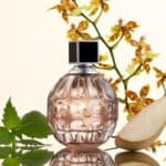 Eau de Parfum, Jimmy Choo na Amazon
