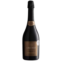 Espumante Amitié Cuvée Brut Branco 750ml na Casas Bahia