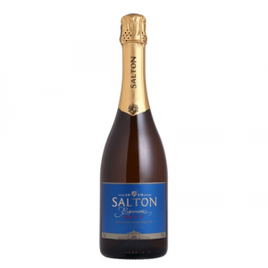 Espumante Salton Series Brut 750ml na Americanas