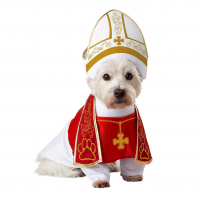 Fantasia De Cão Sagrado Para Animais De Estimação - P Vermelho Branco na Amazon