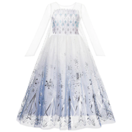 Fantasia Vestido Disney Frozen 2 Elsa Dresses na Aliexpress