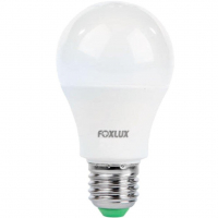 Foxlux Lâmpada LED Bulbo 9W 6500K Bivolt na Amazon