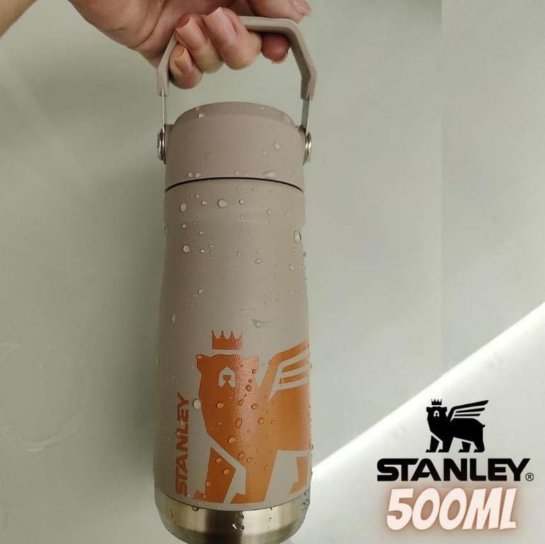 Garrafa Térmica Flip Straw Kids Stanley | 500ML – Ash na Amazon