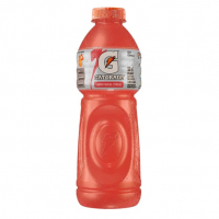 Gatorade Frutas Cítricas - Isotônico, Garrafa 500 Ml na Amazon