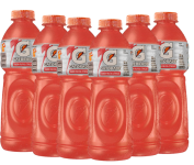 Gatorade Isotônico Frutas Cítricas 500 ml – 6 unidades na Amazon