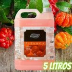 Isopoly Pitanga Sabonete Liquido Para As Mãos 5L na Amazon
