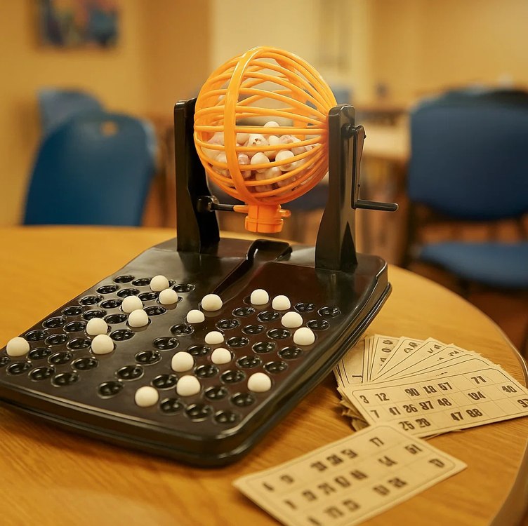 Jogo Bingo com 48 Cartelas, Nig Brinquedos na Amazon