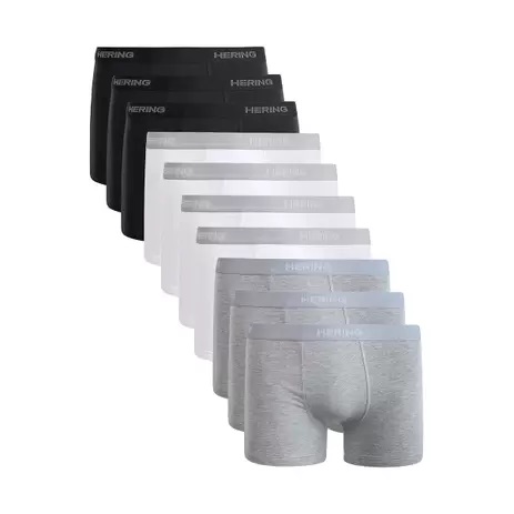 Kit 10 Cuecas Boxer Com Elástico Personalizado – Hering na Magazine Luiza