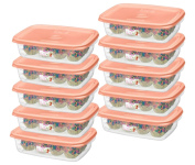 Kit 10 Potes Plástico Hermético 785ml Sanremo Coral na Amazon