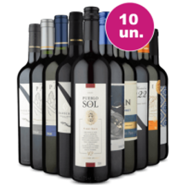 Kit 10 Vinhos Tintos Imperdíveis Wine na Wine