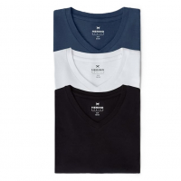 Kit Com 3 Camisetas Masculinas Básicas Slim Gola V Hering na Amazon
