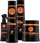 Kit Encorpa Cabelo Haskell Shampoo Cond Máscara 500g +Fluido na Amazon