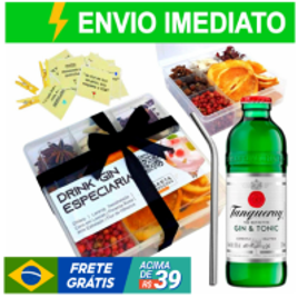 Kit Gin Tônica Especiarias + Tanqueray e Acessórios na Shopee