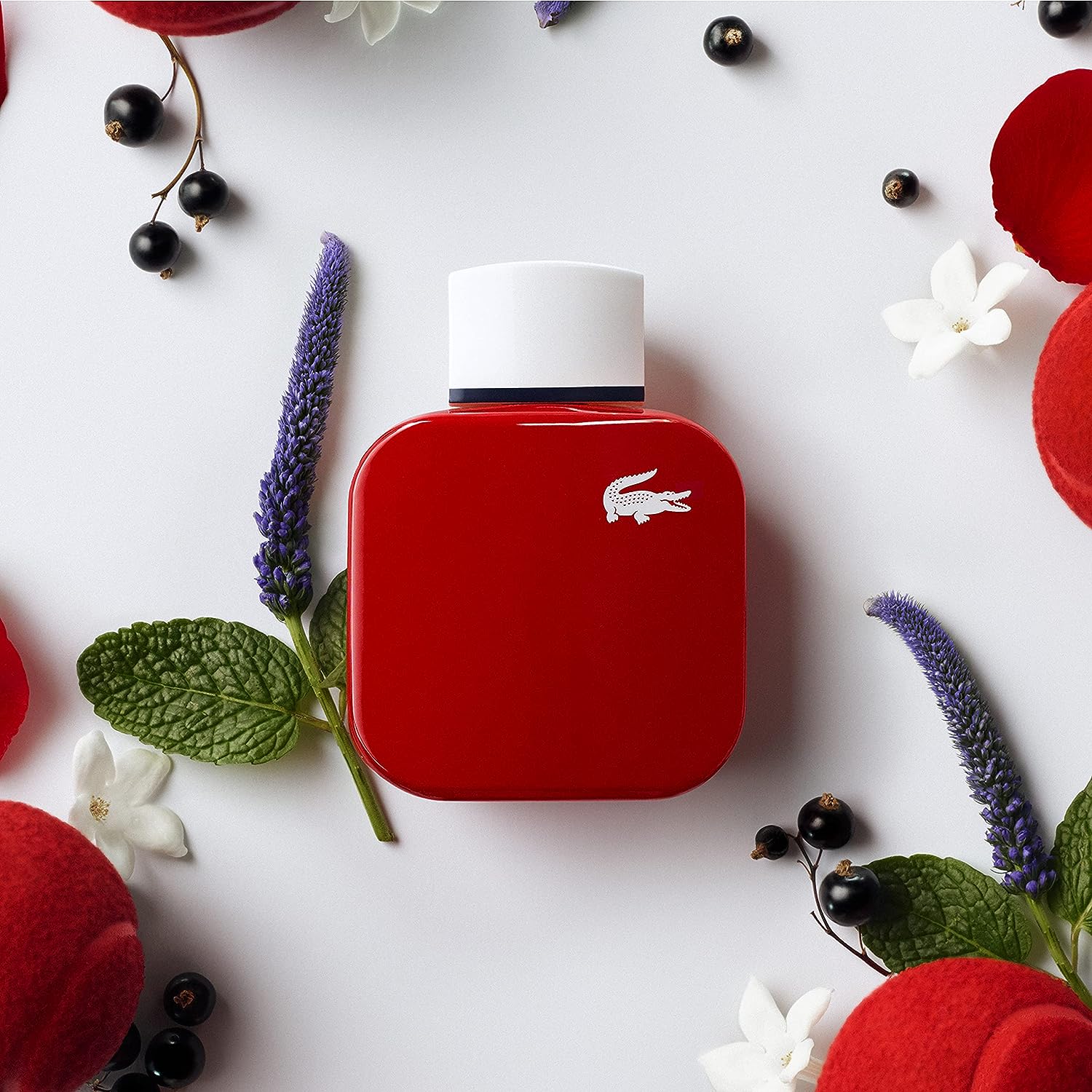 Lacoste L12.12 French Panache Feminino Eau de Toilette, Lacoste L.12.12 Feminino na Amazon