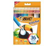 Lápis de Cor Sextavado BIC Evolution, 36 Cores Vivas e Intensas, Seguro para Crianças, 930230, Blister 1 Unidade na Amazon