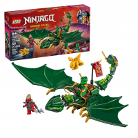 LEGO Ninjago Dragão Verde Florestal Do Lloyd 71829 na Amazon
