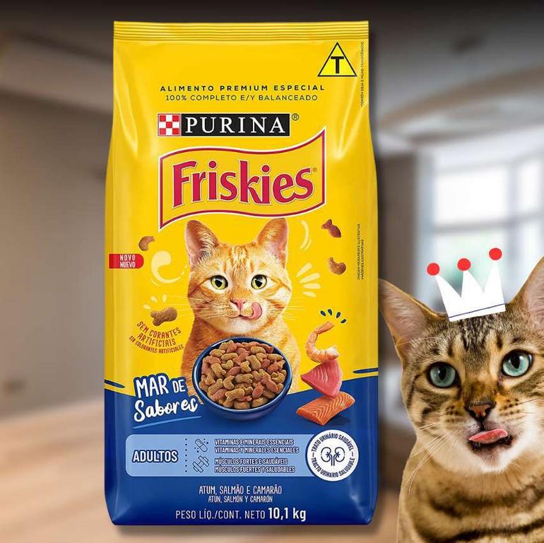 Nestlé Purina Friskies Ração Seca Para Gatos Adultos Peixes E Frutos Do Mar 10,1Kg na Amazon