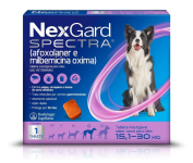 NexGard Spectra Antipulgas e Carrapatos e Vermífugo para Cães de 15,1 a 30kg – 1 tablete na Amazon