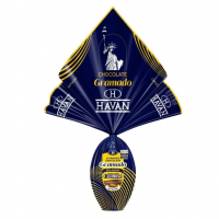 Ovo De Páscoa Chocolate Ao Leite Havan - 500g na Havan