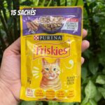 Pack Nestlé Purina Friskies Ração Úmida Para Gatos Adultos Carne Ao Molho – Com 15 Sachês 85g na Amazon