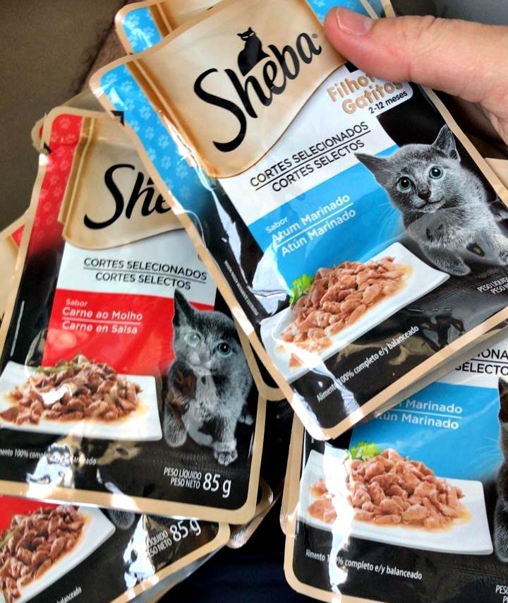 Pack Ração Úmida Sheba Sachê para Gatos Filhotes Sabor Carne ao Molho 85g – 40 unidades na Amazon