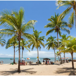 Passagem Aérea para Porto Seguro Saindo de Diversas Capitais - Ida e Volta na Amazon