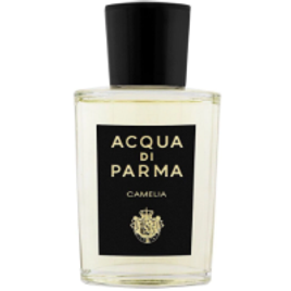 Perfume Acqua Di Parma Camelia Unissex EDP - 100ml na Sephora