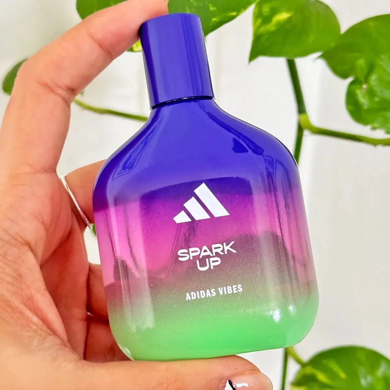 Perfume Adidas Vibes Spark Up Eau de Parfum 100ml na Amazon
