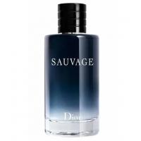 Perfume Dior Sauvage Masculino Eau De Toilette 200ml na Época Cosméticos
