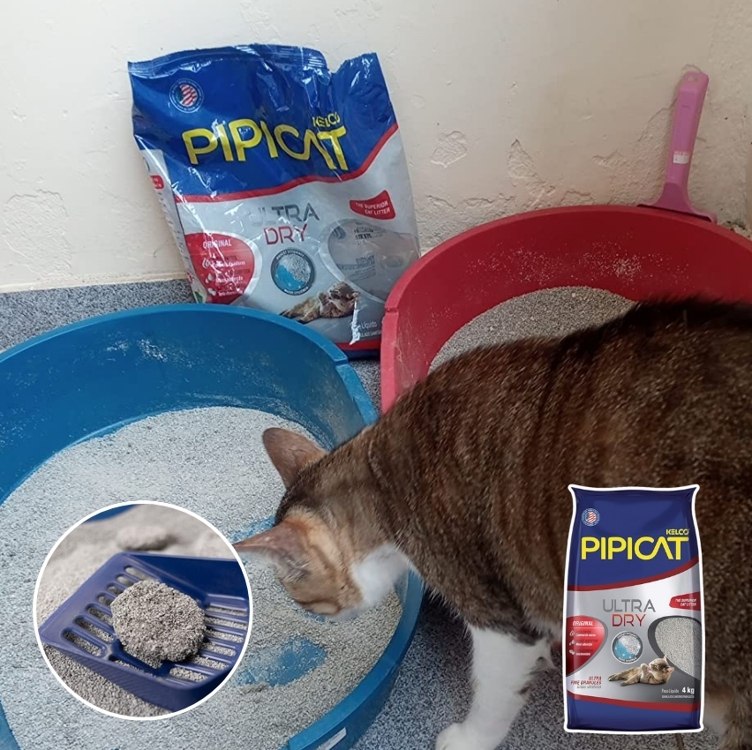 Pipicat Areia Higiênica Ultra Control 4 kg na Amazon