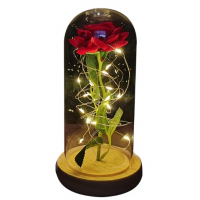 Presentes Dia Das Mães Rosa A Bela E A Fera Para Ela na Amazon