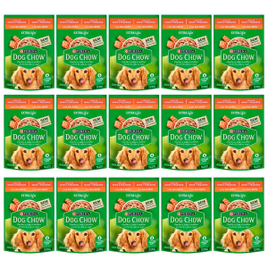 Ração Úmida para Cães Dog Chow ExtraLife Salmão 100g - 15 Sachês na Ponto