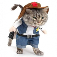 Roupa Para Pet, Cowboy - Importação na Aliexpress