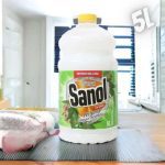 Sanol Desinfetante Líquido Para Uso Geral Eucalipto 5 Litros na Amazon
