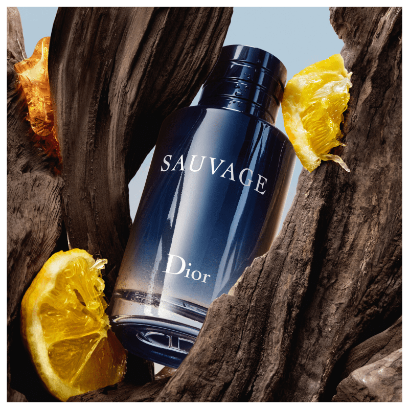Sauvage Dior Eau de Toilette – Perfume Masculino 100ml na Beleza na Web