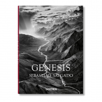 Sebastião Salgado - Genesis - Internacional na Amazon