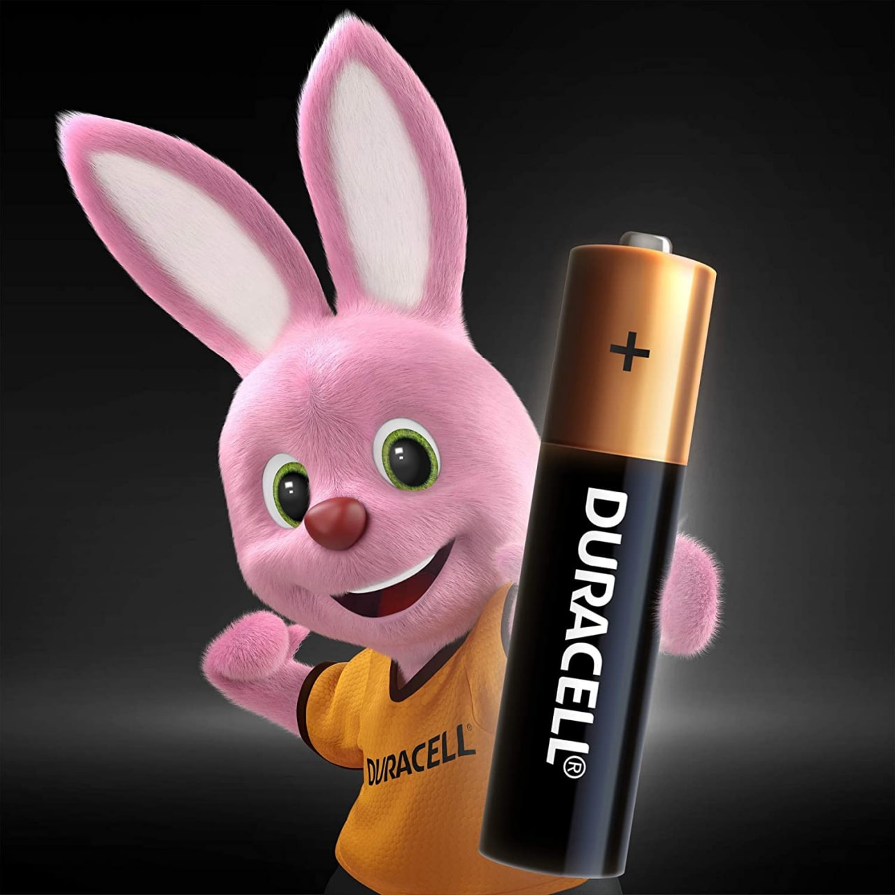 Seleção de Pilhas Duracell na Amazon