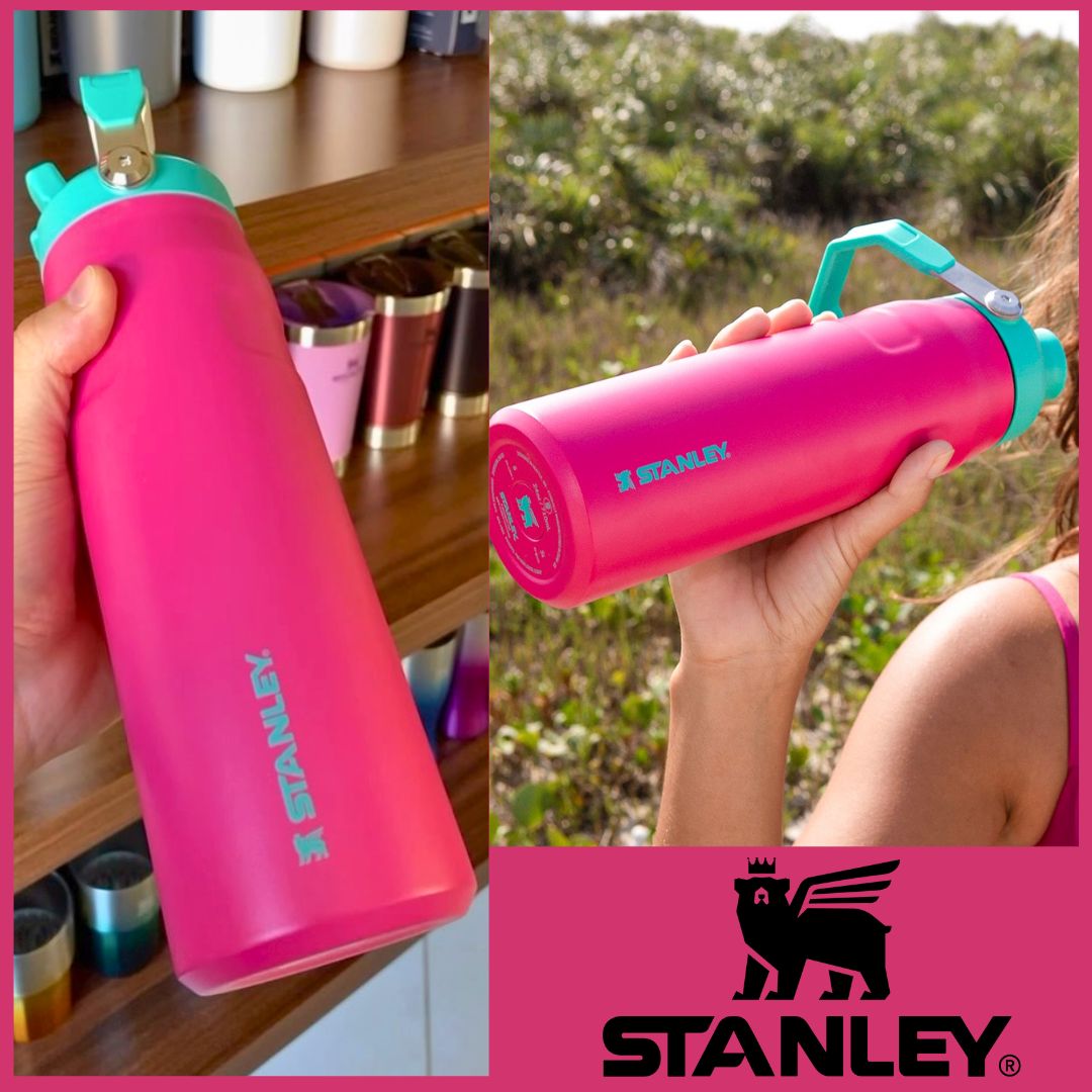 Stanley – Garrafa de água com palhinha IceFlow Flip, palhinha incorporada, abertura grande, aço inoxidável leve, 700 ML, Passion Pink na Amazon