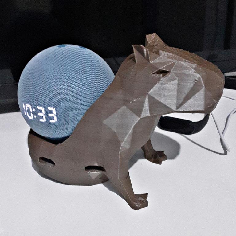 Suporte De Mesa Para Alexa Echo Dot 4 Capivara na Amazon
