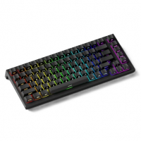 Teclado Gamer AKKO TAC75 Com Gatilho Rápido, Com Ou Sem Fio, Interruptor Magnético E RGB na Aliexpress