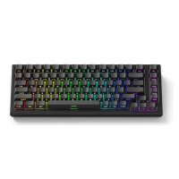 Teclado Gamer AKKO TAC75 HE Com Gatilho Rápido, Com Ou Sem Fio, Interruptor Magnético E RGB na Aliexpress